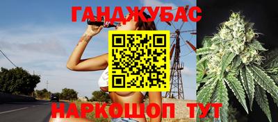 сатива Малгобек