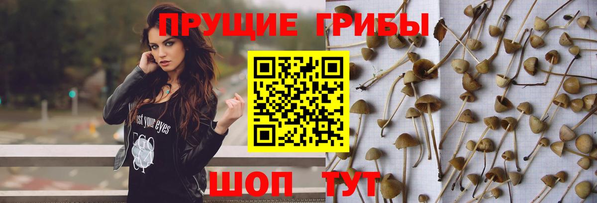 Галлюциногенные грибы MAGIC MUSHROOMS Дербент